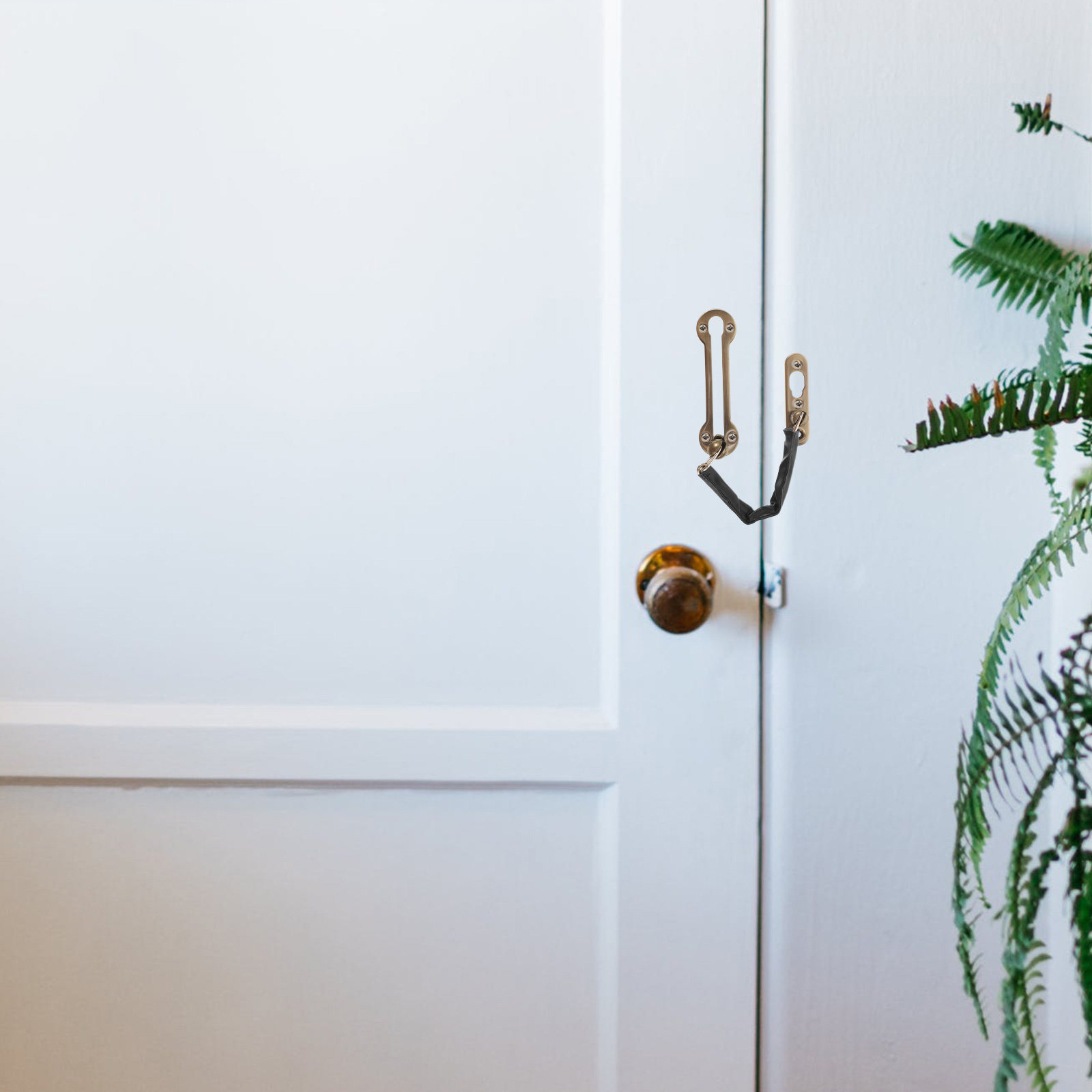 Thickened Anti-Theft Door Chai - Security Chain Door recensie en prijs